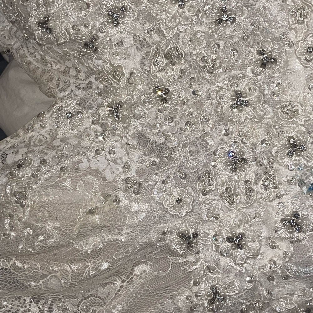 Maggie Sottero Dahlia - Picture 4 of 10